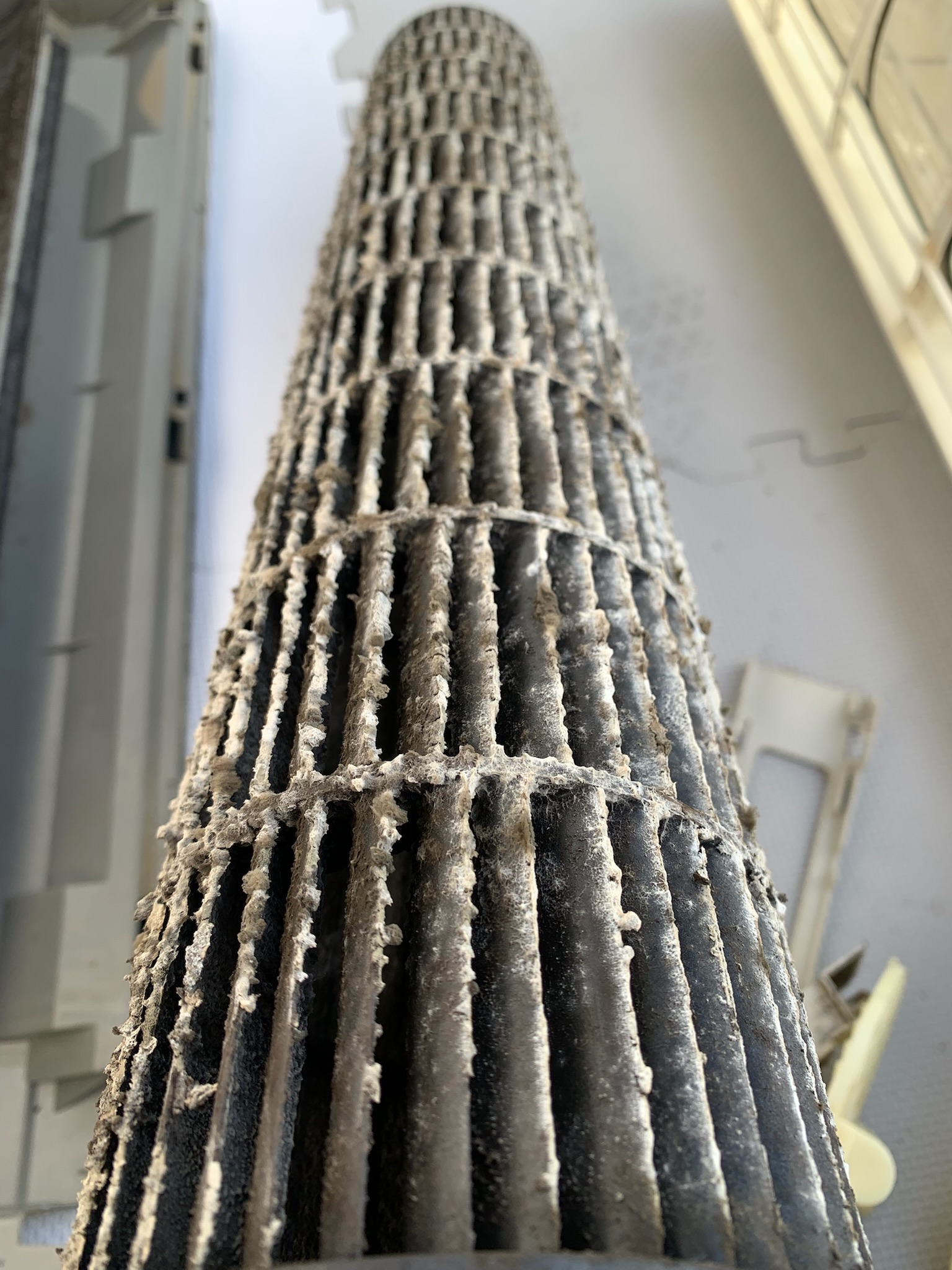 ファン（クリーニング前）