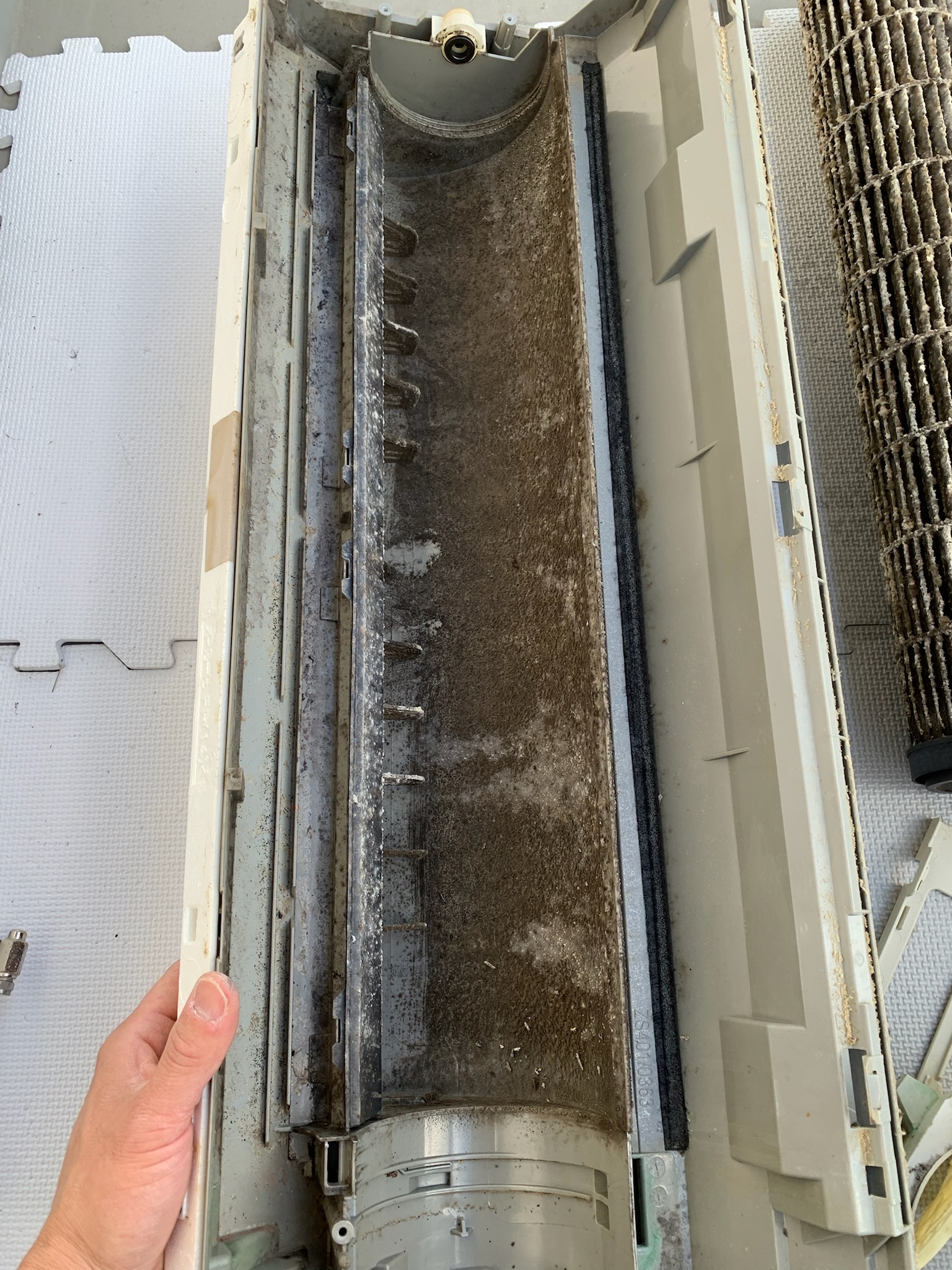 ドレンパン（クリーニング前）